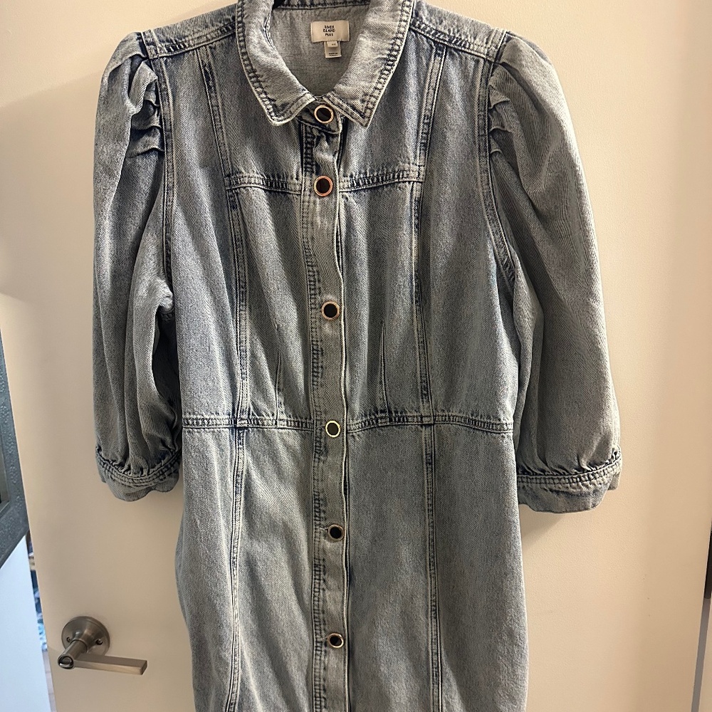 River Island Plus denim dress
